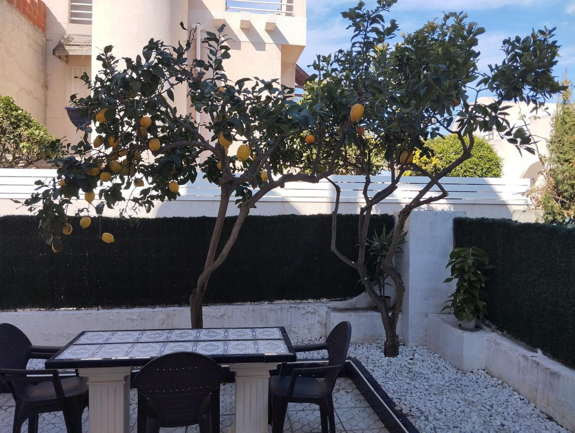 Z&R - Alcyone Villa Torrevieja Extérieur photo